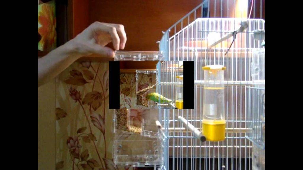 Игрушки для попугаев своими руками (20 фото): как сделать их из подручных материалов для волнистых и других видов попугаев?