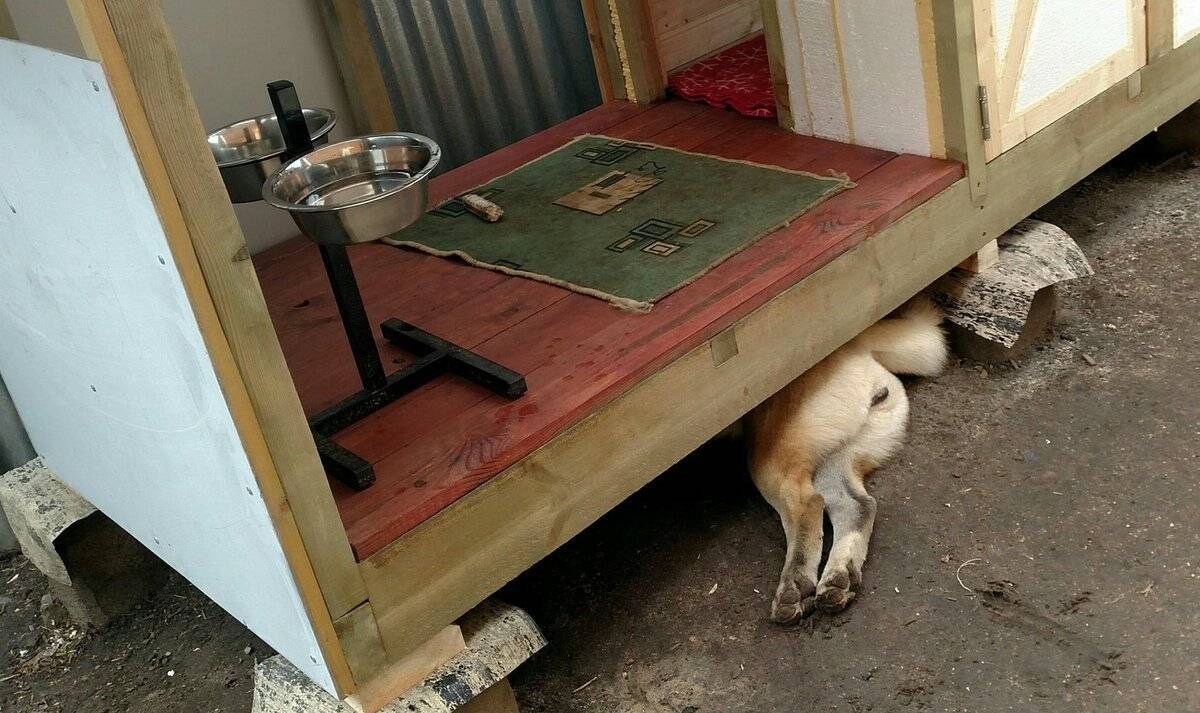Fallout 4 как создать будку для собаки фото 80