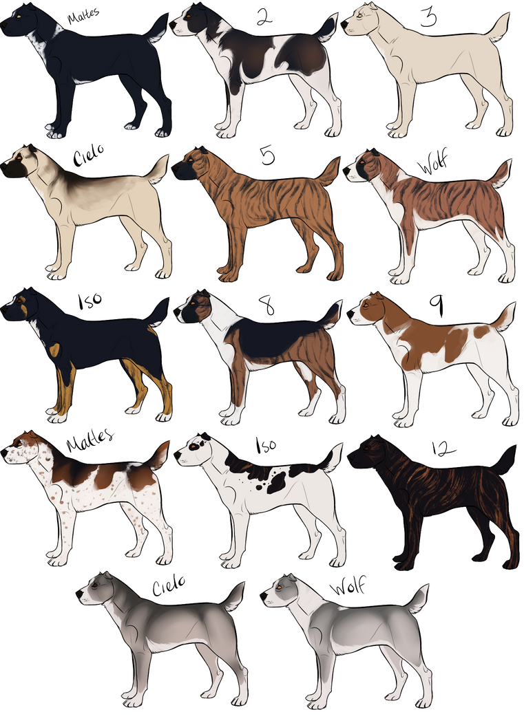 Окрас немецкой овчарки: виды, названия с фото | собаки мира