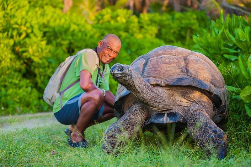 Самая большая черепаха в мире - книга рекордов гиннеса - мировые рекорды и достижения