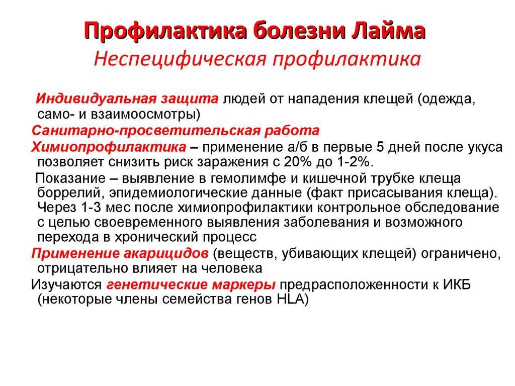 Боррелиоз у собак − симптомы, лечение, опасность болезни лайма, профилактика и прогноз