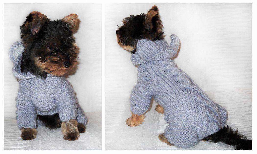 Как связать свитер для собаки своими руками — пошаговая схема