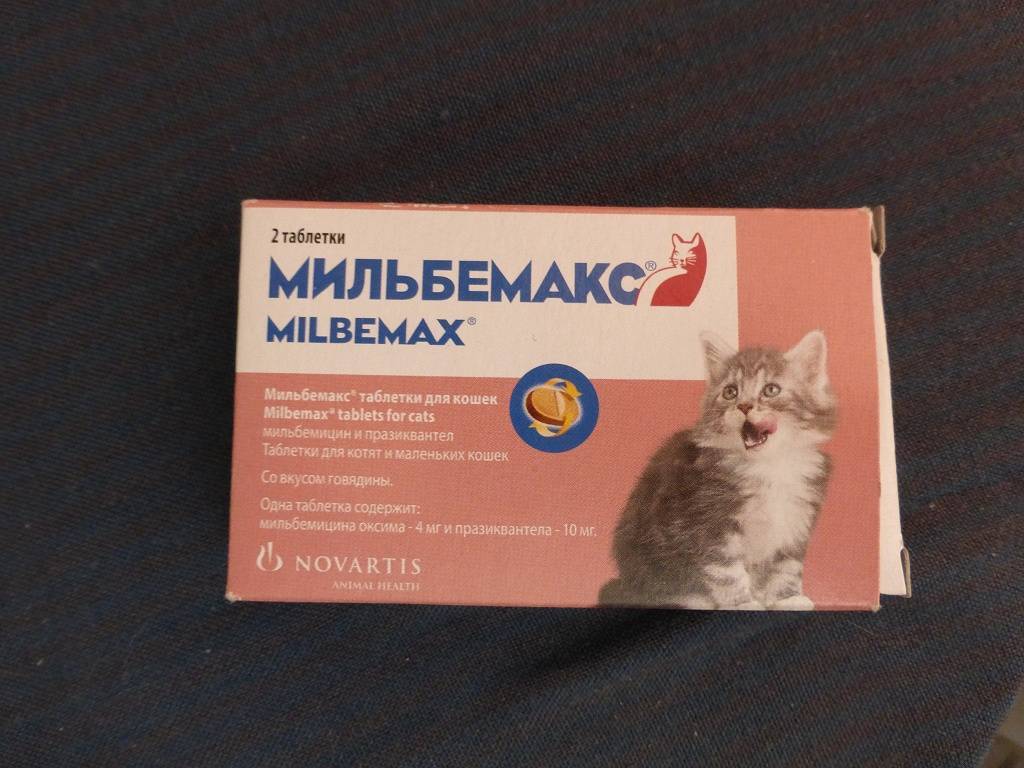 Как применять мильбемакс для кошек, его цена и отзывы
