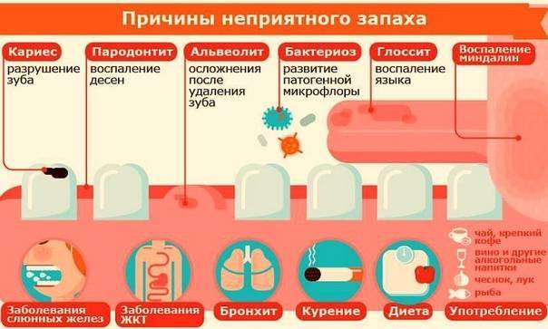 Неприятный запах изо рта у собаки: причины и лечение | hill's