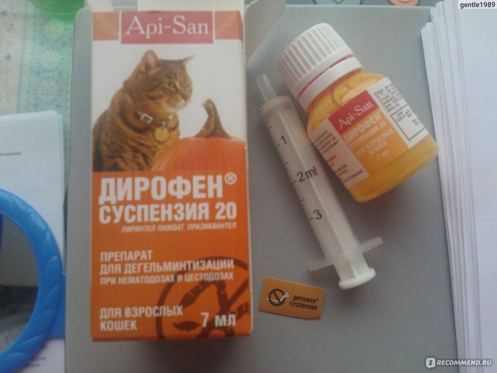 Дирофен для кошек: инструкция по применению