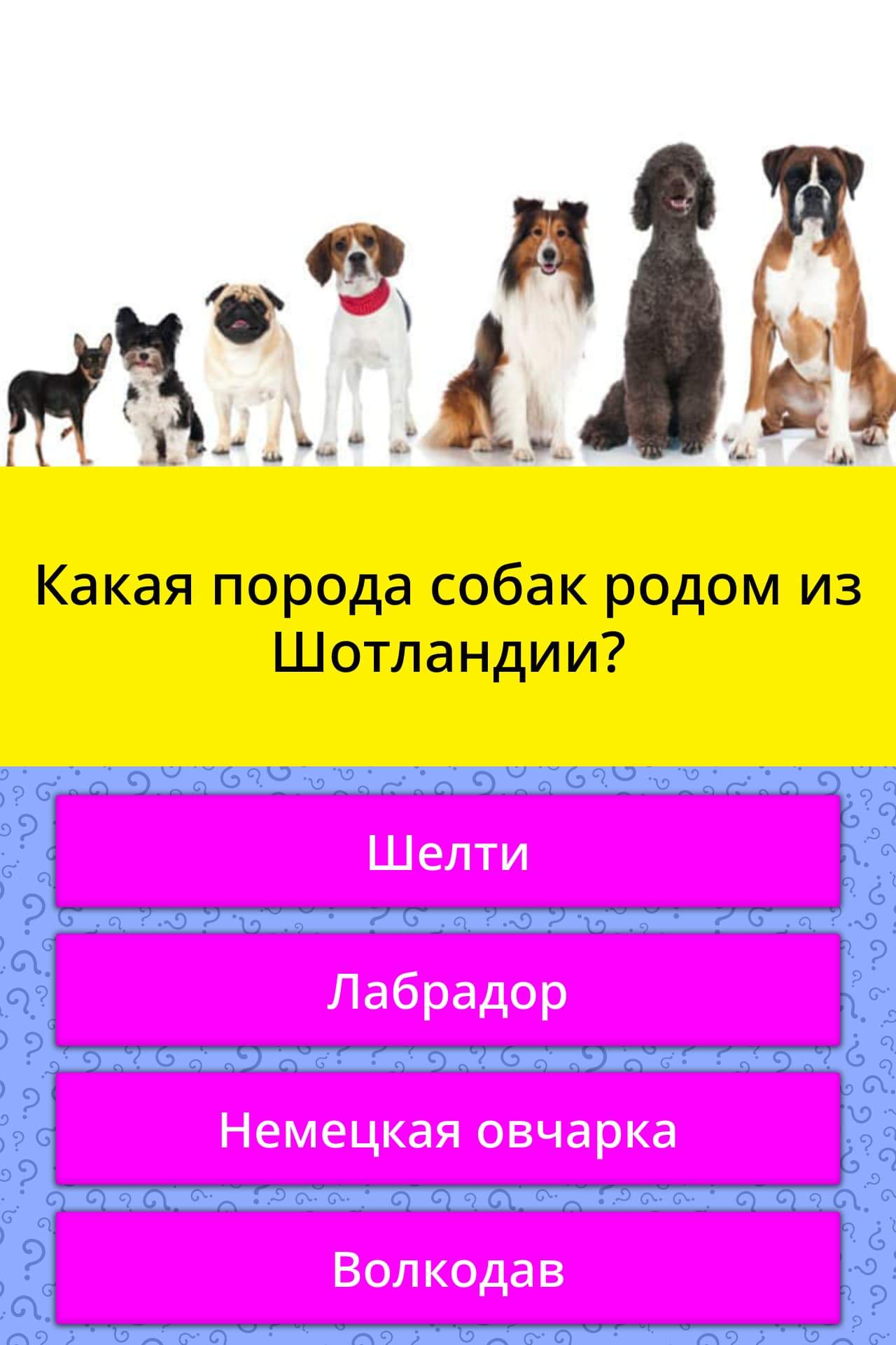 Какие породы собак выведены в россии