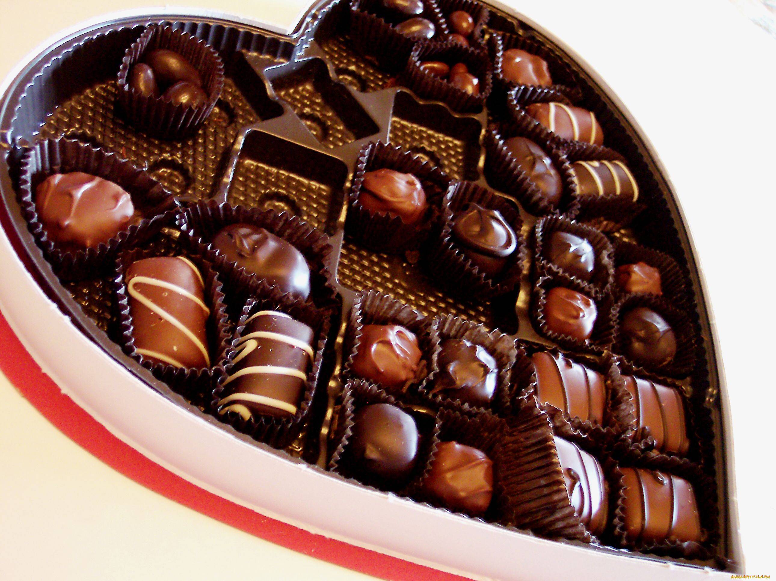Сколько вкусностей. Шоколадные конфеты. Шоколадные сладости. Бельгийский шоколад. Конфетка шоколад.