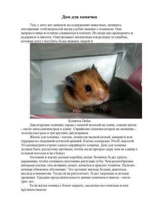 Сибирские хомяки (21 фото): сколько живут сибирские хомячки? правила ухода за ними. их размеры и характер