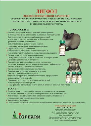 Лигфол для собак: инструкция по применению, назначение, дозировка и схемы лечения, отзывы