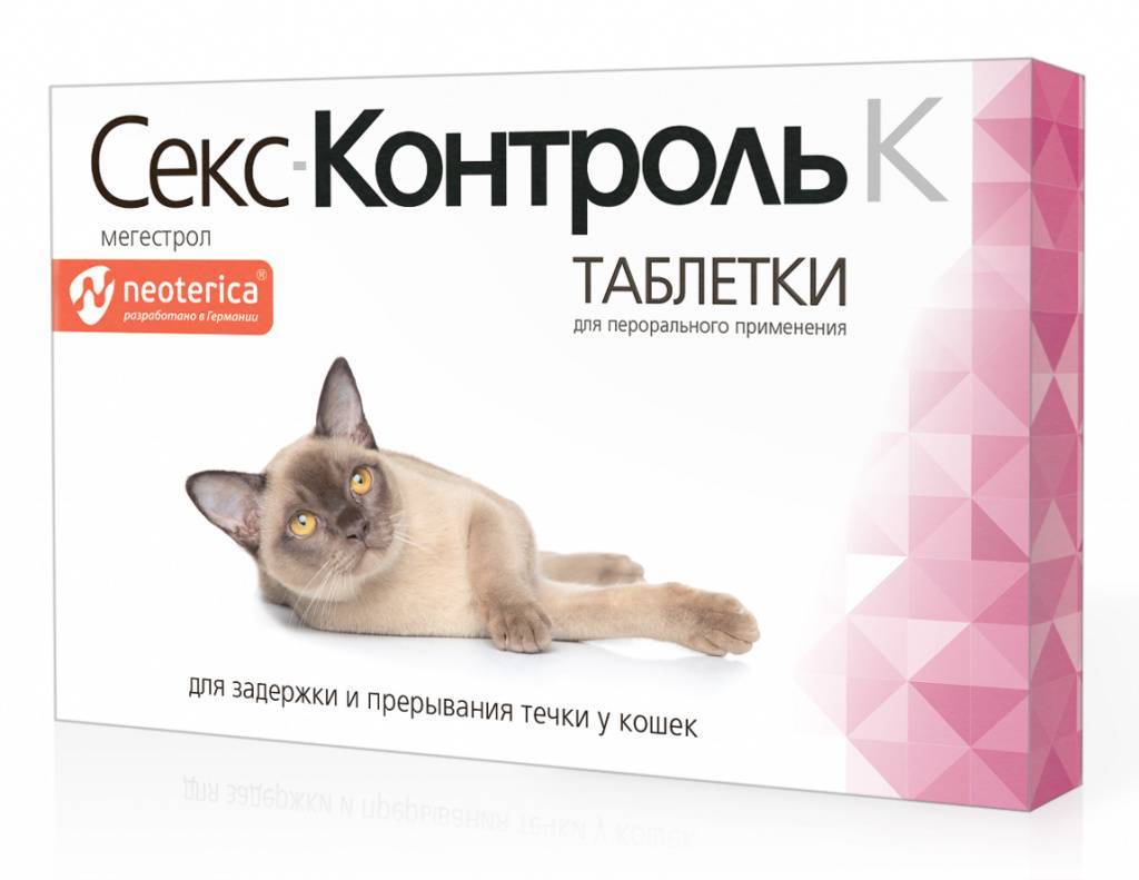 Антисекс для кошек: разновидности эффективных препаратов