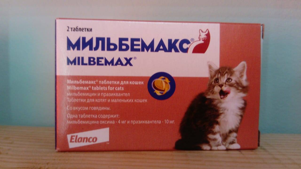 Мильбемакс для кошек: состав, противопоказания, правила применения