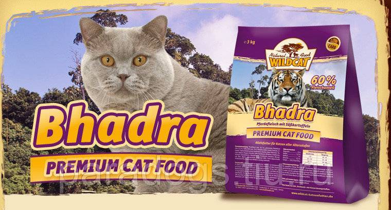 ᐉ обзор корма для кошек wildcat - ➡ motildazoo.ru