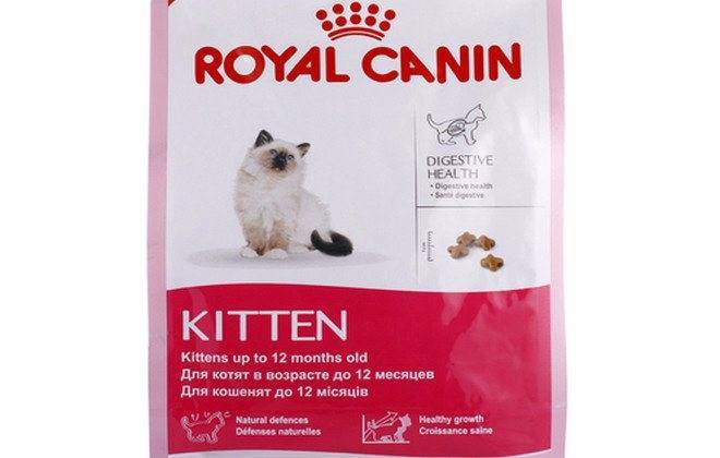 Royal canin для кошек: обзор видов, состав, советы ветеринара