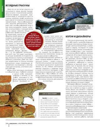 Сколько живут домашние крысы - люблю хомяков