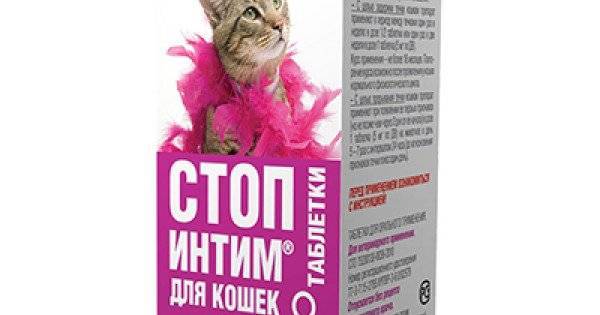 Капли для кошек от гуляния: список негормональных и гормональных средств