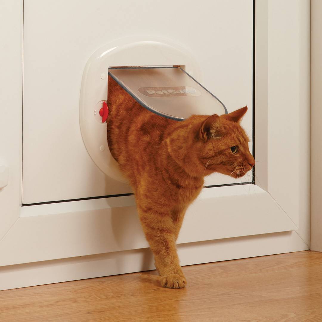 Дверца для кошек: купить или сделать самому?