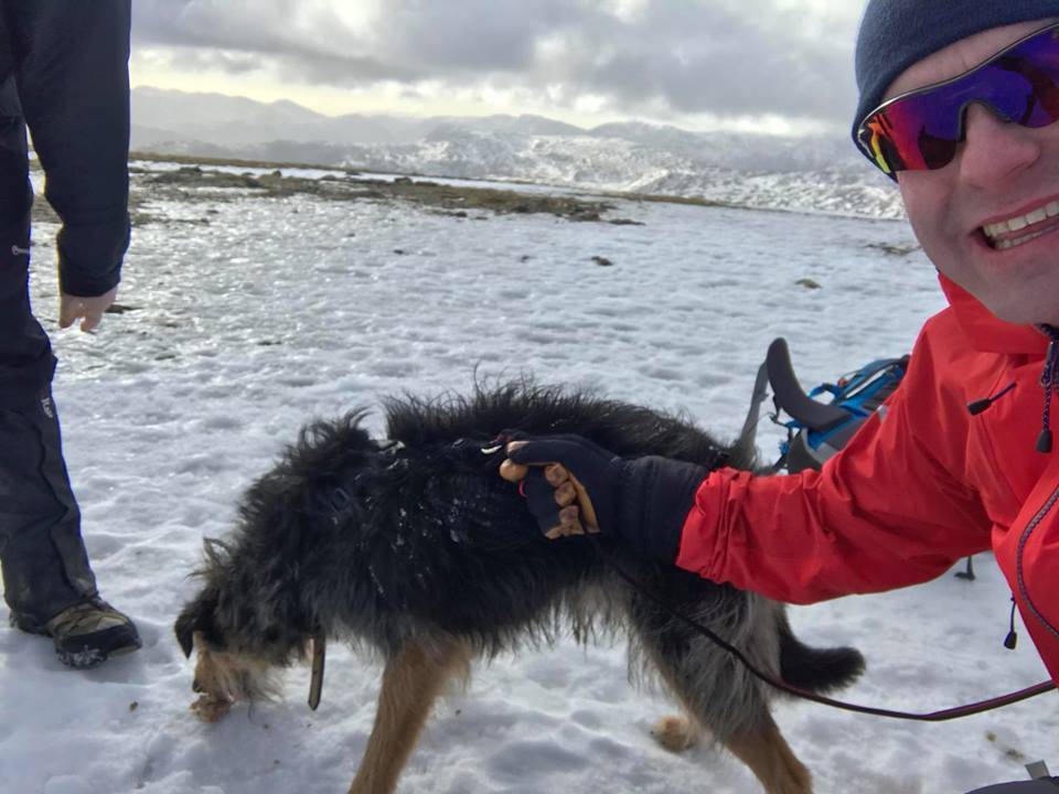 Какие собаки помогают спасать альпинистов: порода, название