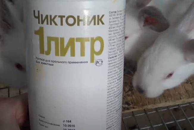 Инструкция по применению чиктоника для кроликов