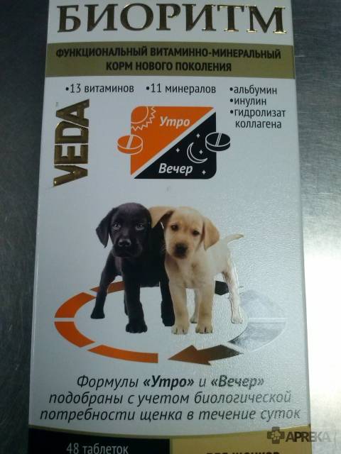 Лучшие витамины для собак, щенков и беременных собак - ecodobavki