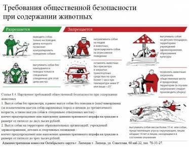 Закон о выгуле собак в 2020 году: правила и штрафы в россии