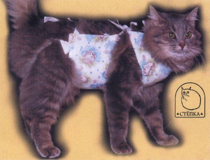 Порядок пошива попоны и прочей одежды для кошек