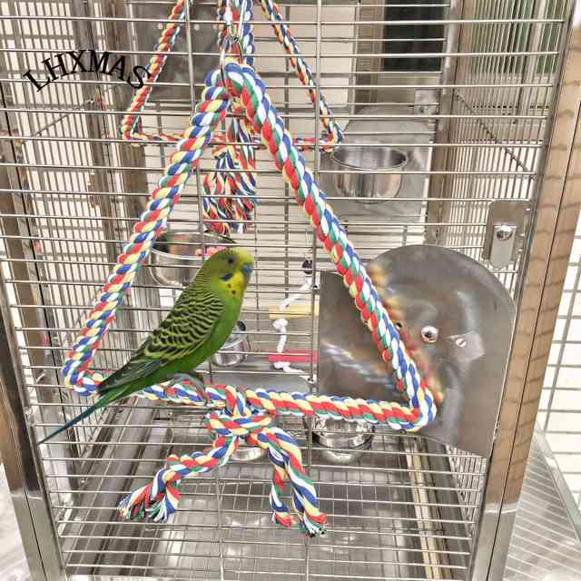 Купальня для волнистых попугаев: как правильно искупать птичку в домашних условиях