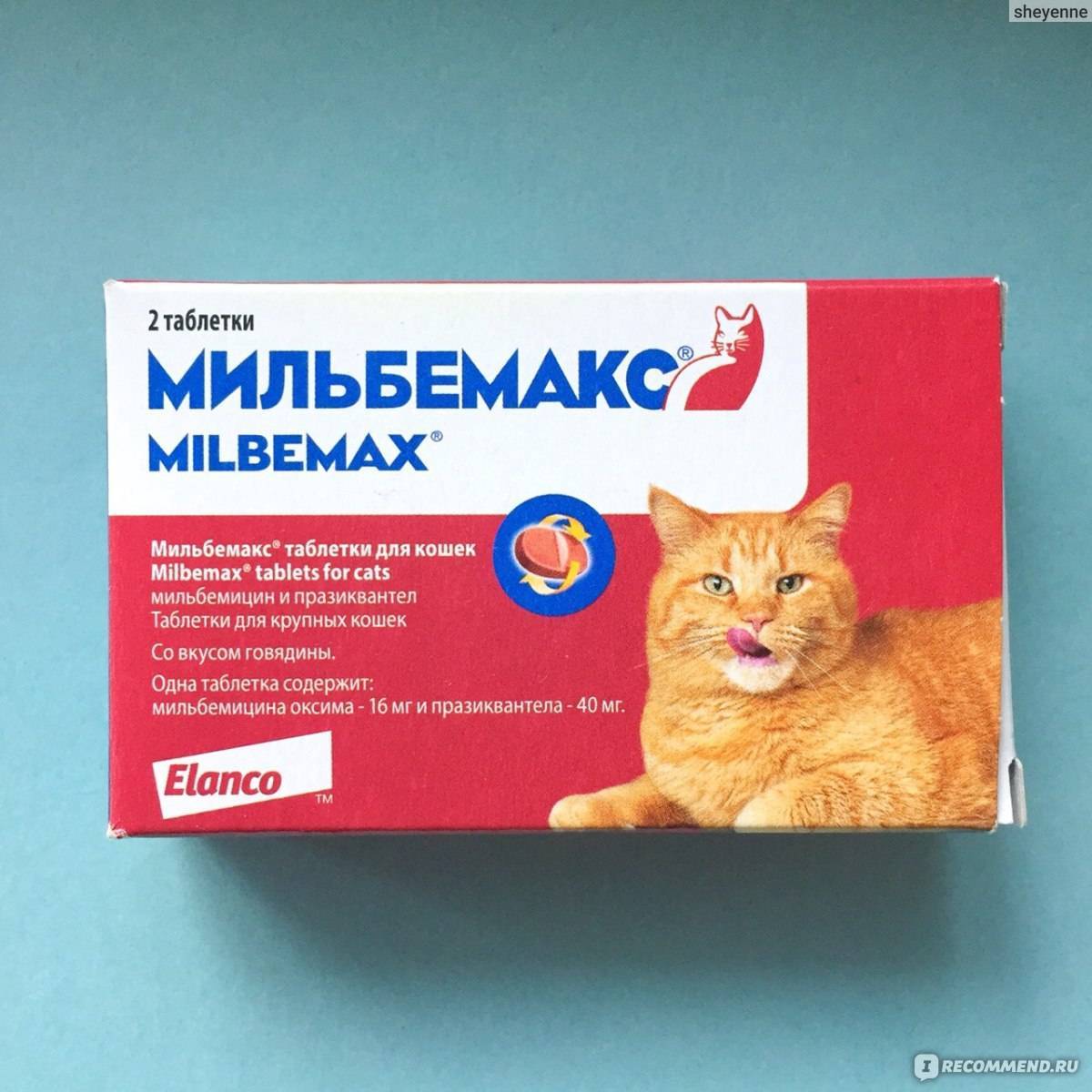 Мильбемакс для кошек : инструкция по применению.