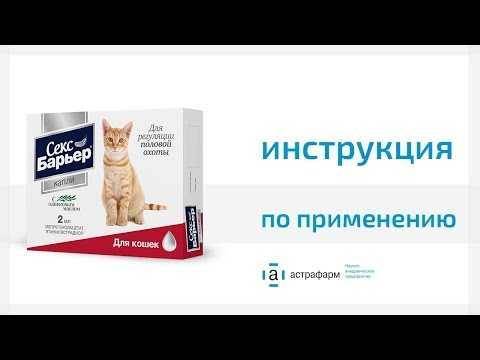 О вреде контрасекса — обсуждение в группе "кошки" | птичка.ру