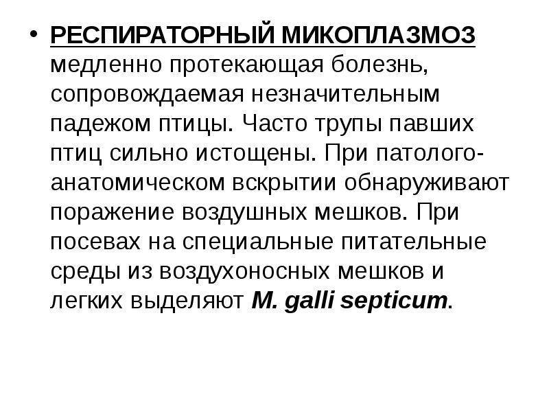 Микоплазмоз кошек