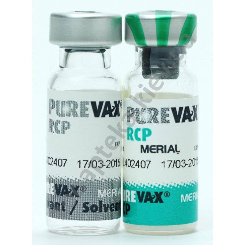 Вакцина пуревакс для кошек - инструкция по применению - kotiko.ru
