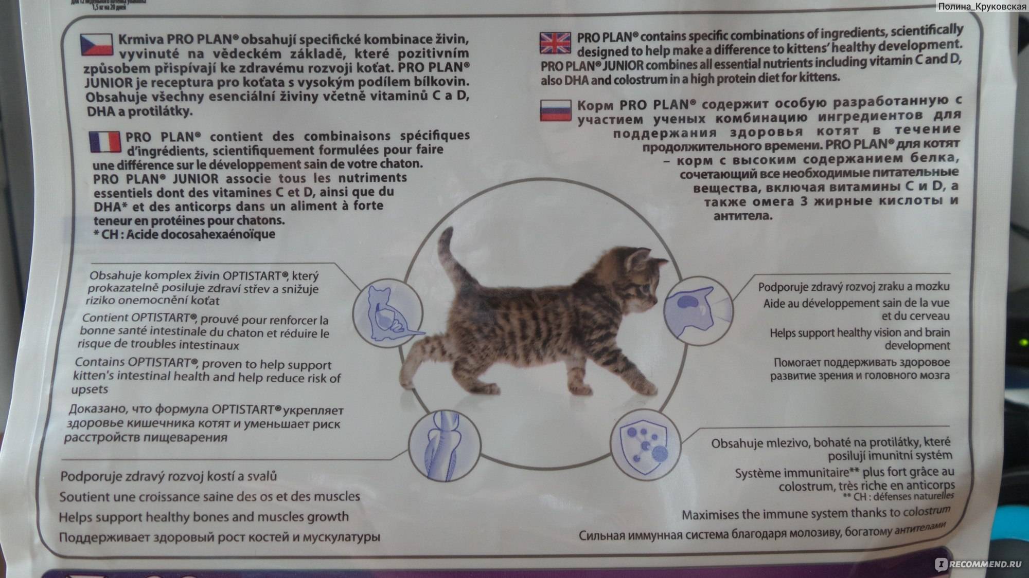 Корма для стерилизованных кошек и кастрированных котов: характеристики и правила выбора