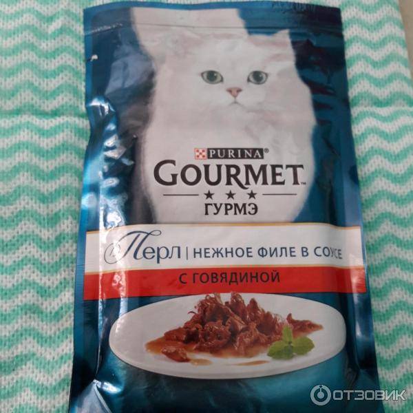 Из чего состоят корма гурмэ для котов: как правильно давать gourmet кошкам