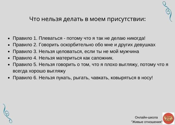 12 недопустимых вещей при уходе за кошкой :: инфониак