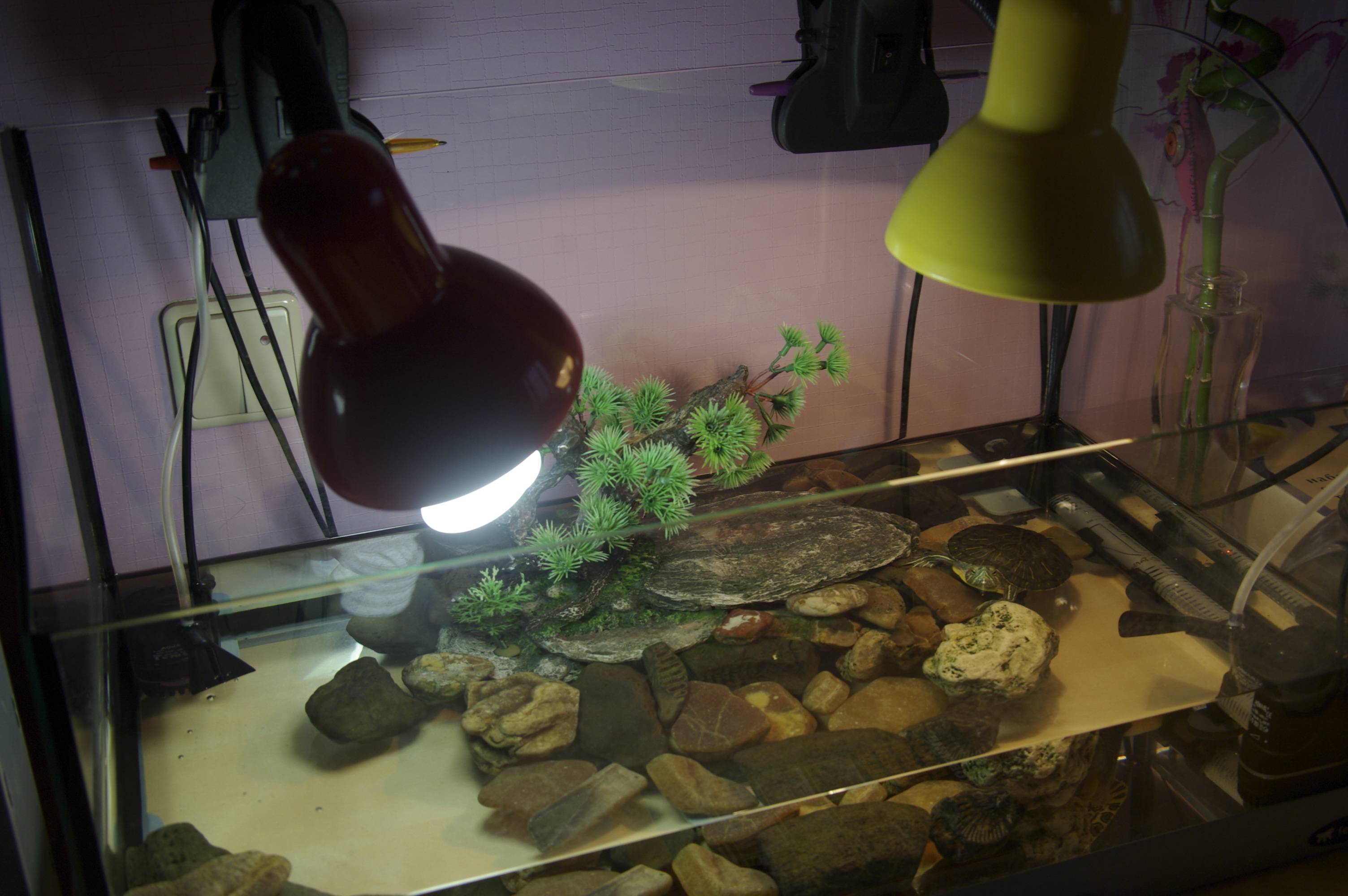 Ультрафиолетовая лампа для черепах