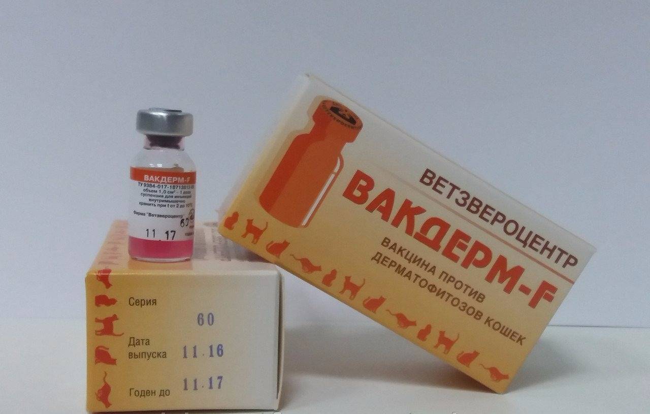 Вакдерм – назначение, инструкция, противопоказания, отзывы