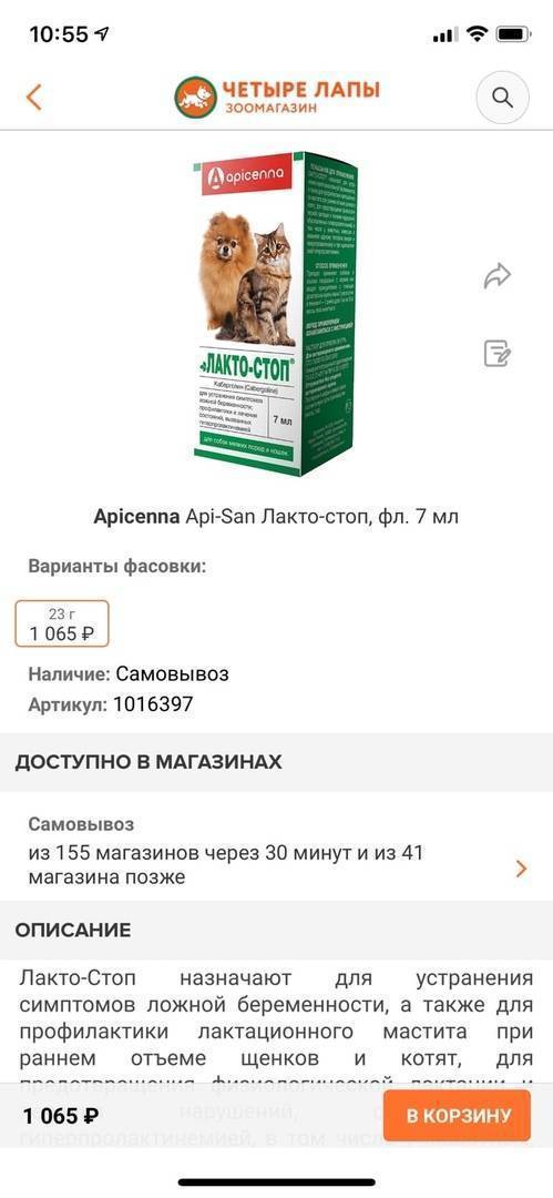 Слабительное для кошек и котят: что дать от запора?
