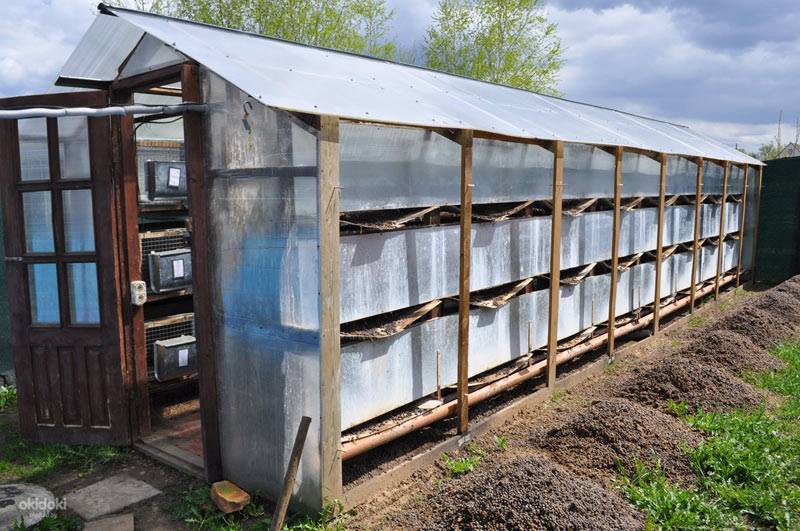 Комфортное жилище для кроликов: строим удобный сарай из пеноблоков для успешного кролиководства