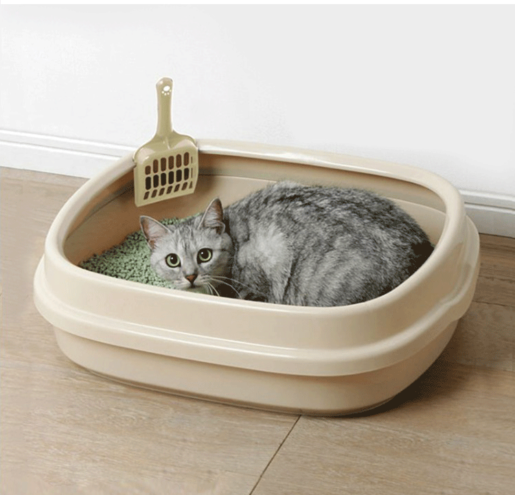 Как выбрать туалет для кошки: рейтинг 10 лучших лотков 2019 года
