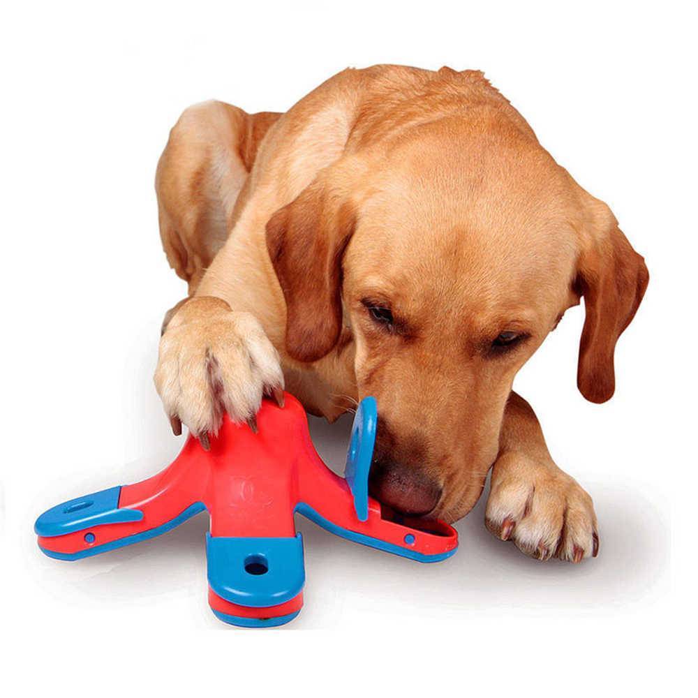 Игрушки для собак: тонкости выбора