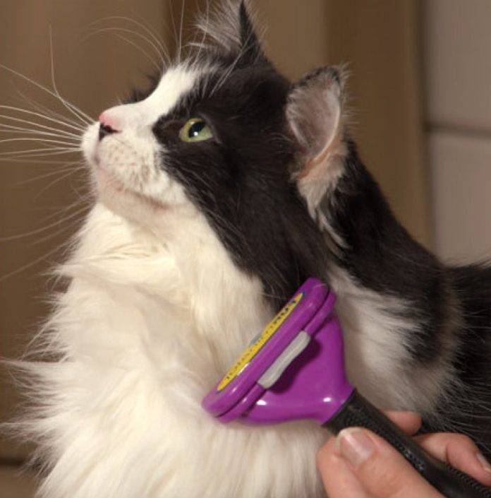 Расческа фурминатор для длинношерстных кошек, как правильно пользоваться и как выбрать