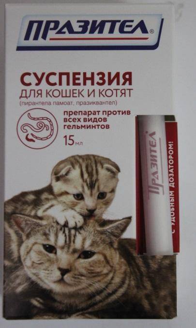 «празител» (суспензия против гельминтов) для кошек и котят: инструкция, дозировка