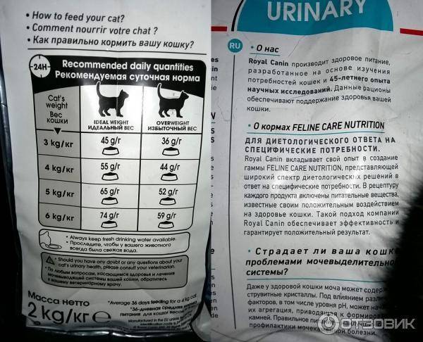 Лечебное и диетическое кормление собак