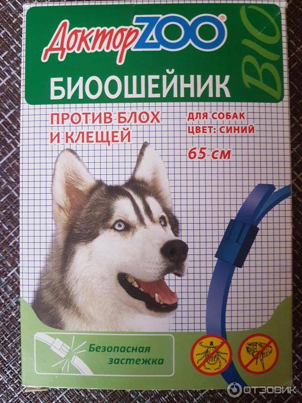 Ошейники для собак от клещей и блох - лучшие модели, стоимость и отзывы - обнаружил.ру
