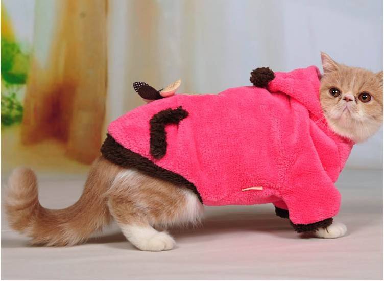Одежда для кошек своими руками: как сделать выкройку и сшить комбинезон или кофту?