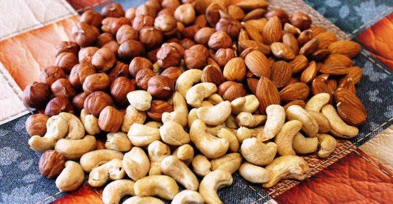 Какие орехи можно давать шиншиллам: грецкие и арахис, фундук и кедровые орехи, миндаль и кешью, можно ли давать семечки вместо орехов
