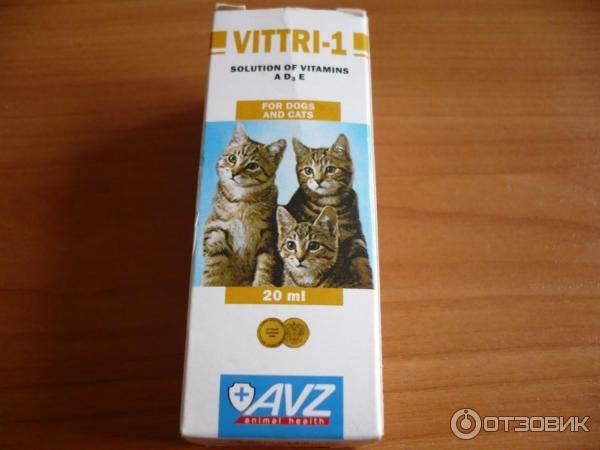 Рейтинг витаминов для кошек (2020): как выбрать, описание, отзывы
