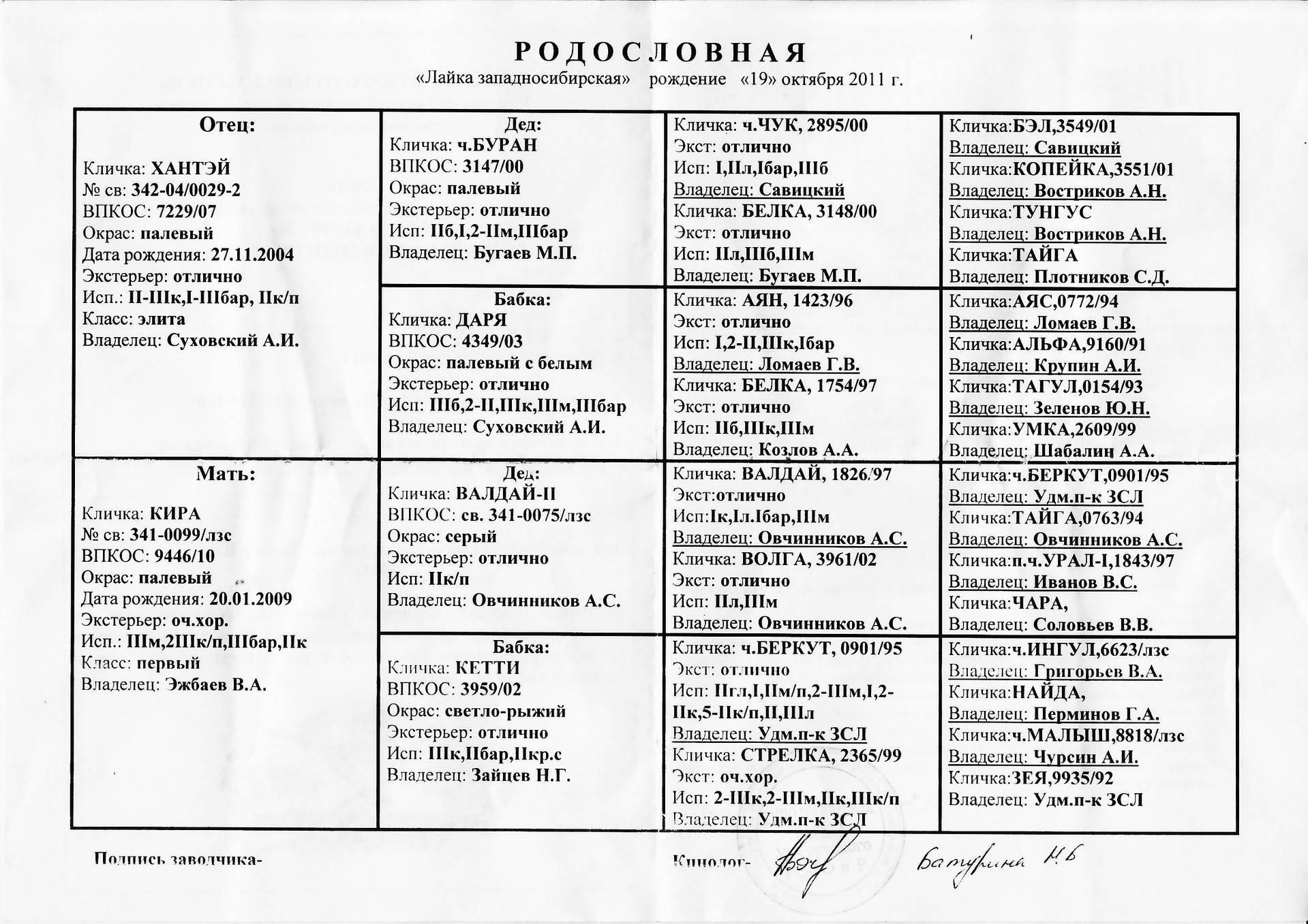 Самые популярные клички для собак в алфавитном порядке с рекомендациями
