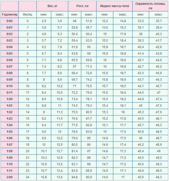 Сколько должна весить ваша шиншилла? сводная таблица по месяцам и нормальные показатели роста