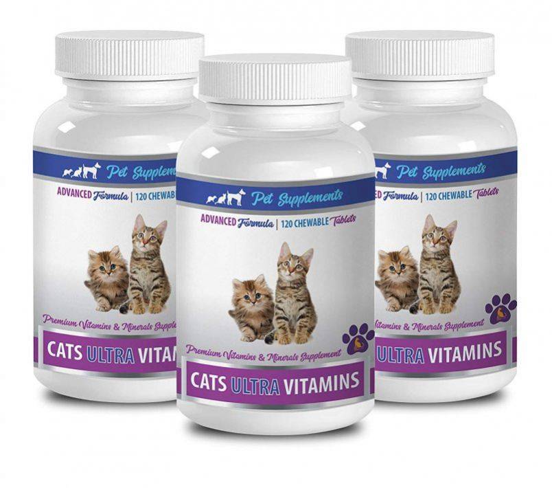 Витамины для кошек: какие бывают и как выбрать добавки к питанию вашего питомца