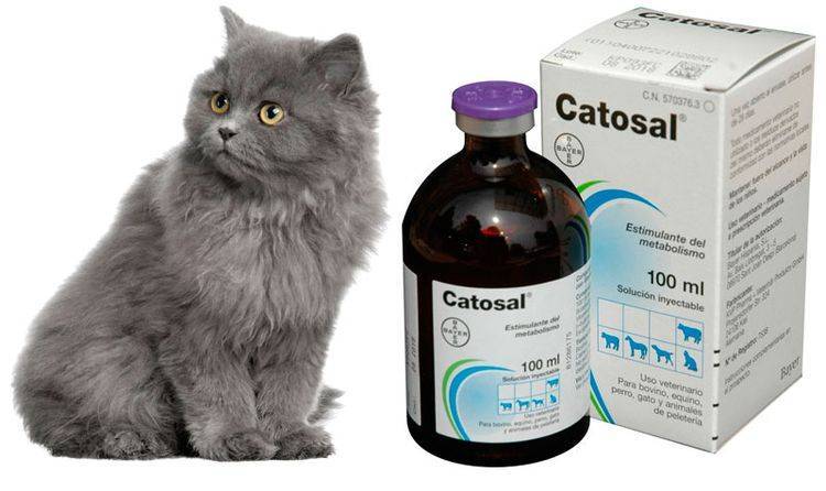 Катозал — инструкция по применению в ветеринарии для животных